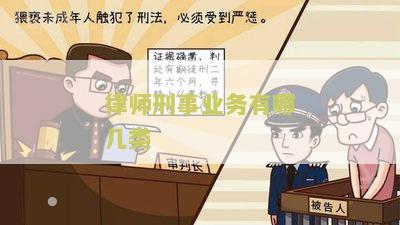 律师刑事业务有哪几类