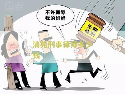 清苑刑事律师多少钱
