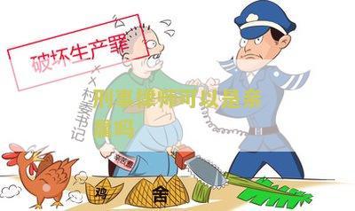 刑事律师可以是亲属吗