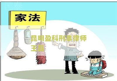 昆明盈科刑事律师王磊简介及资料