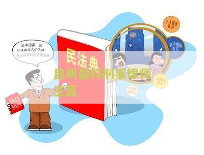昆明盈科刑事律师王磊怎么样，昆明盈科律师事务所主任