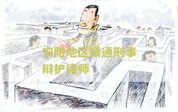 安阳地区精通刑事辩护律师