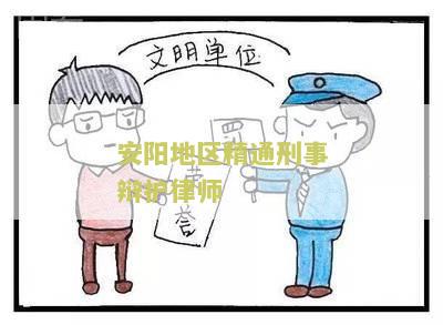 安阳地区精通刑事辩护律师