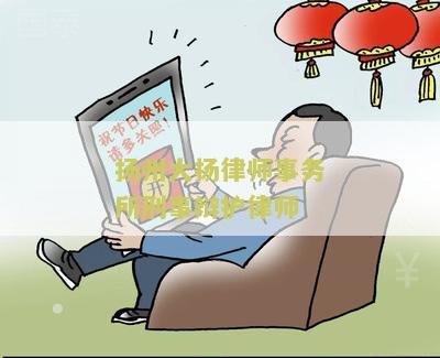 扬州大扬律师事务所刑事辩护律师