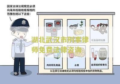 湖北武汉市刑事律师免费法律咨询