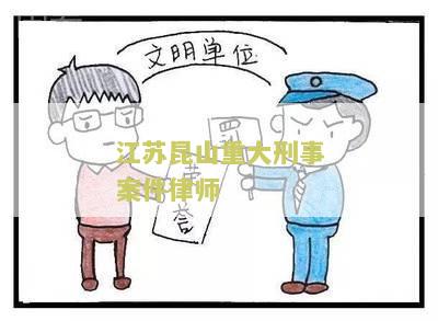 江苏昆山重大刑事案件律师
