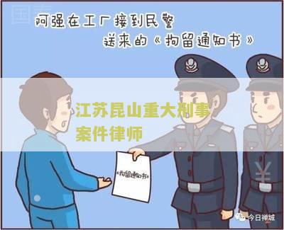 江苏昆山重大刑事案件律师