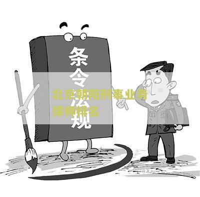 北京朝阳刑事业务律师排名