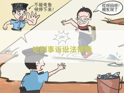 论刑事诉讼法律师
