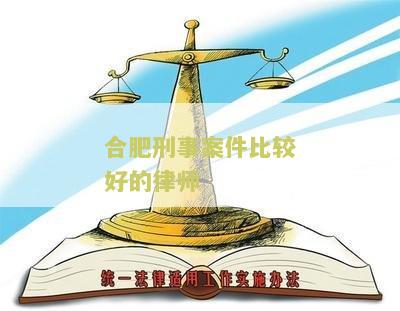 合肥刑事案件比较好的律师是谁