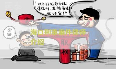 海口刑事案件律师介绍