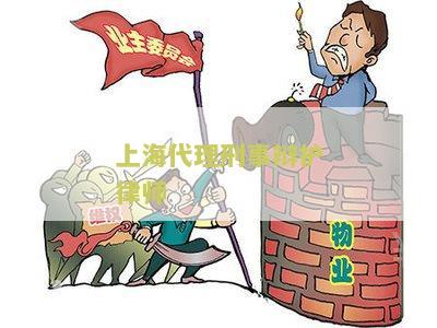 上海代理刑事辩护律师