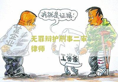 无罪辩护刑事二审律师