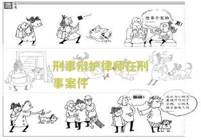 刑事辩护律师在刑事案件