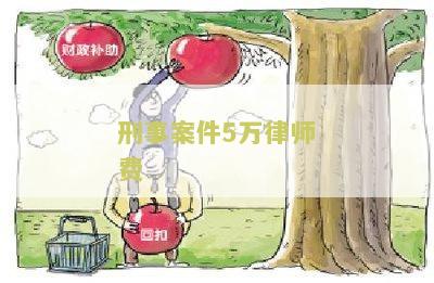 刑事案件5万律师费是多少