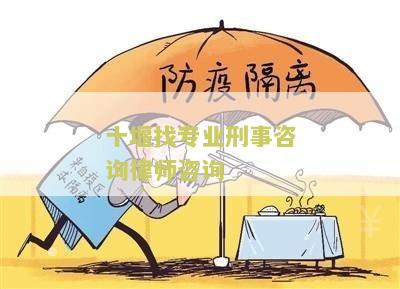 十堰找专业刑事咨询律师咨询