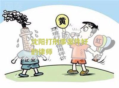 沈阳打刑事官司害的律师及律师事务所