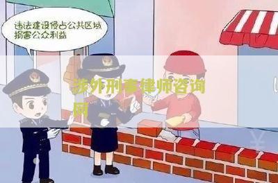 涉外刑事律师咨询网站推荐