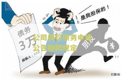 公司债权债务申报公告期限规定