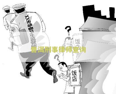 普洱刑事律师查询
