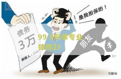 99.9刑事专业律师25