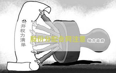 股份分配合同注意