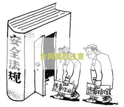 合同里的注意点有哪些