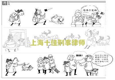 上海著名刑事律师前10名排名及在线咨询