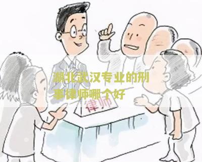 武汉专业的刑事案件律师有哪些