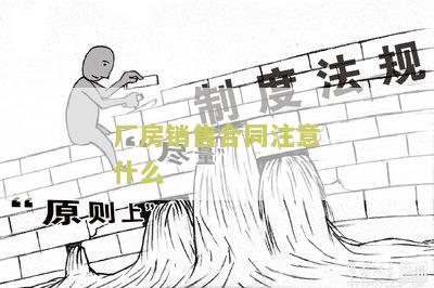 厂房销售合同注意什么问题和建议