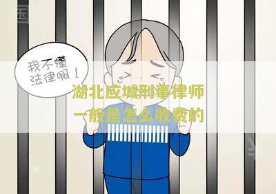 湖北应城知名律师名单及排行榜