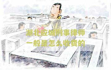 湖北刑事案件律师事务所排名及费用标准，咨询湖北刑事案件律师