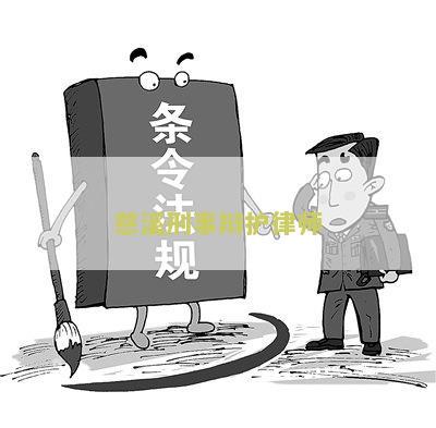 慈溪刑事辩护律师排名前十