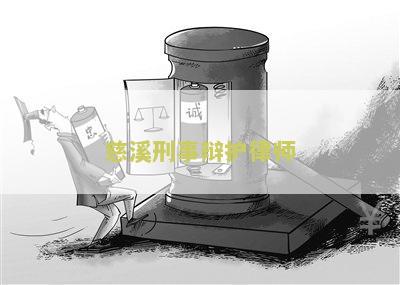 慈溪刑事辩护律师