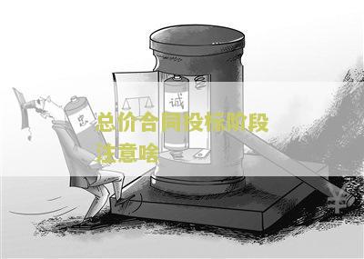总价合同招标清单漏