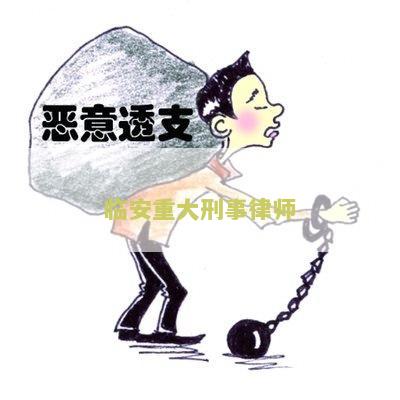 临安律师事务所排名前十名