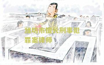 潍坊市擅长刑事犯罪案律师