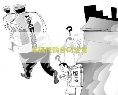 车辆代购合同注意