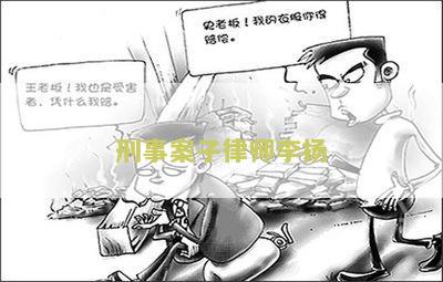 刑事案子律师扬简历