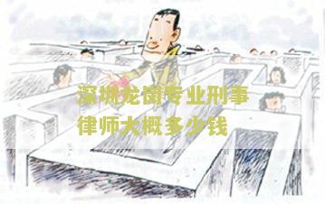 深圳龙岗专业刑事律师大概多少钱啊