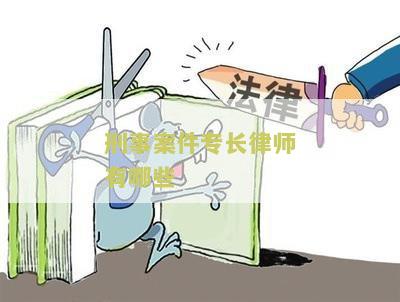 99.9-刑事专门律师第二