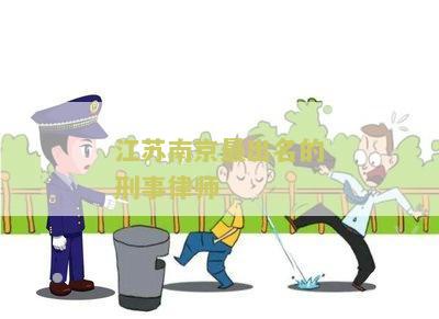 江苏南京最出名的刑事律师