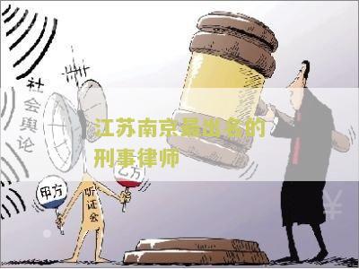 江苏南京最出名的刑事律师