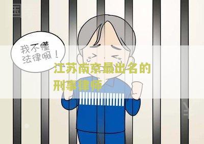 江苏南京最出名的刑事律师