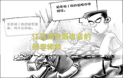 江苏南京最出名的刑事律师