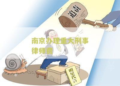 南京办理重大刑事律师费