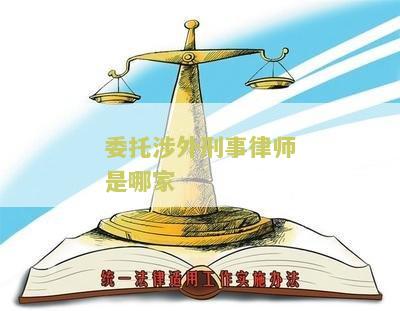 委托涉外刑事律师是哪家公司的法人代表及业务手续