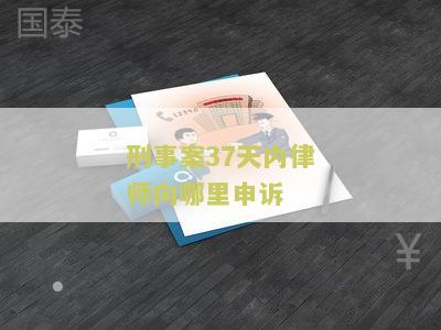 律师办理刑事案件规第37条及解释