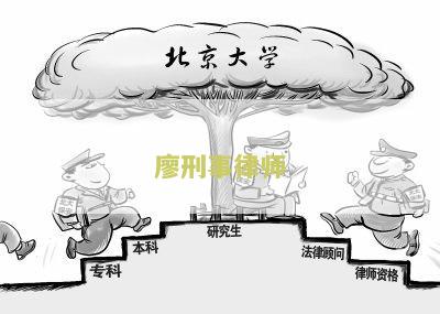 律师在全国排名及其综合评价如何？