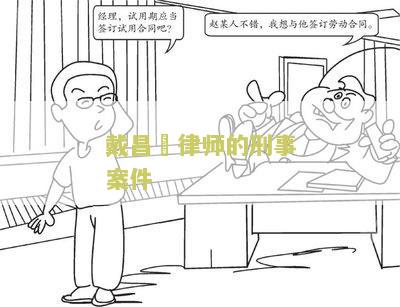 旵律师的刑事案件
